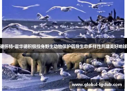 德怀特·霍华德积极投身野生动物保护倡导生态多样性共建美好地球 德怀特·霍华德积极投身野生动物保护倡导生态多样性共建美好地球