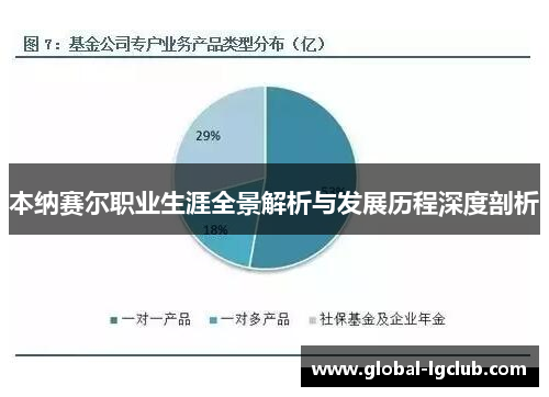 本纳赛尔职业生涯全景解析与发展历程深度剖析