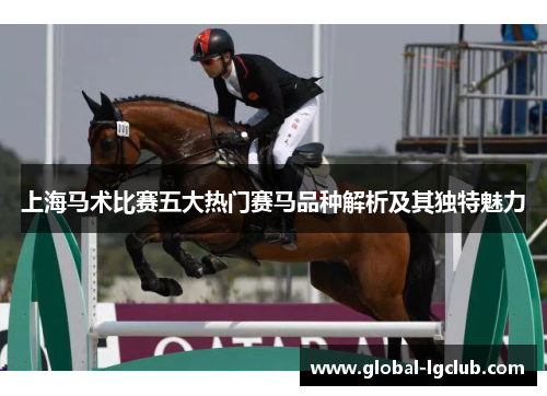 上海马术比赛五大热门赛马品种解析及其独特魅力