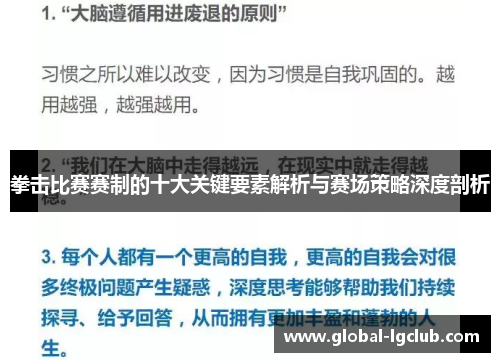 拳击比赛赛制的十大关键要素解析与赛场策略深度剖析