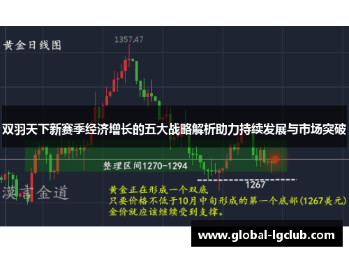 双羽天下新赛季经济增长的五大战略解析助力持续发展与市场突破