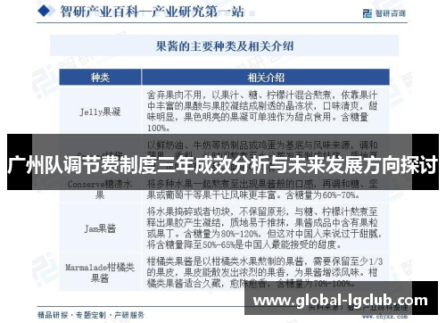 广州队调节费制度三年成效分析与未来发展方向探讨 广州队调节费制度三年成效分析与未来发展方向探讨